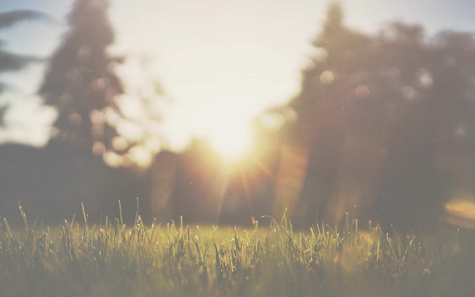 Featured image for “Restoring Hope – Welcome to PIR”